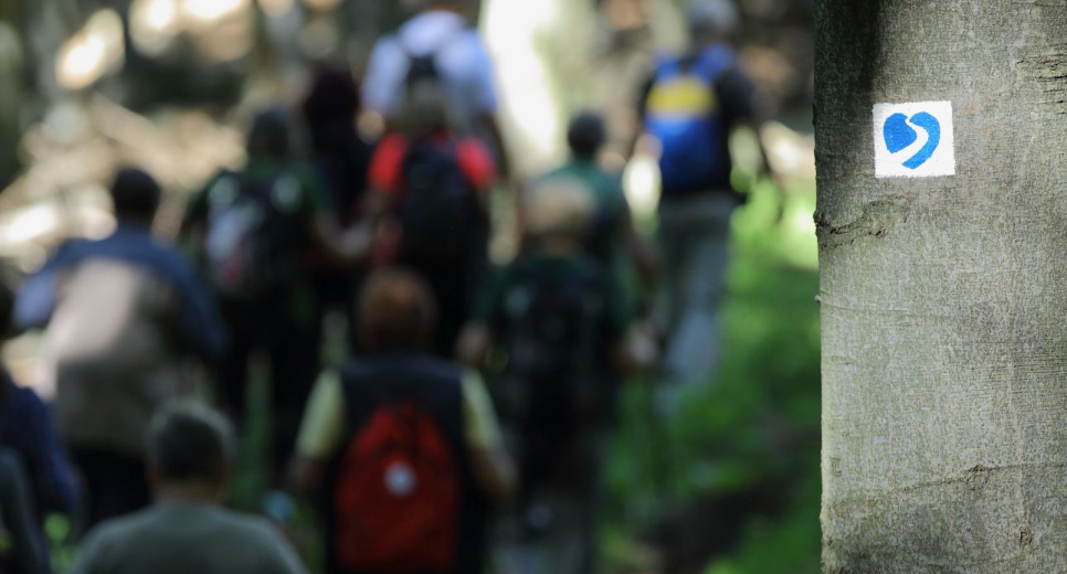 Hegyi játszótér és kardióösvény létesült Kékestetőn