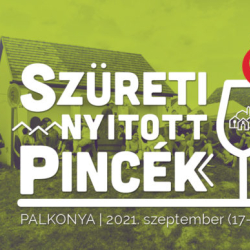 SZÜRETI NYITOTT PINCÉK
