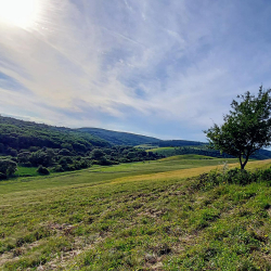 Bátor szépségei fotókon