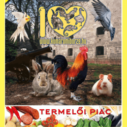 Komáromi Börze 2021 KISBÉREN!