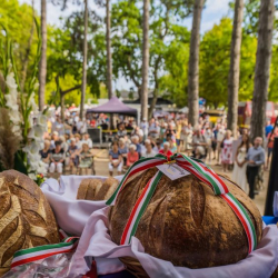 BOR ÉS KENYÉR ÜNNEPE SIÓFOK 2023