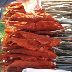 GARDA FESZTIVÁL 2023. GARDÁLIA, A LÁTOTT HAL ÜNNEPE TIHANYBAN