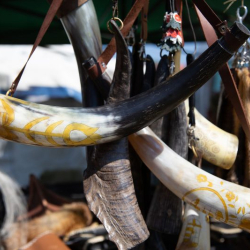 HORTOBÁGYI HÍDIVÁSÁR 2022