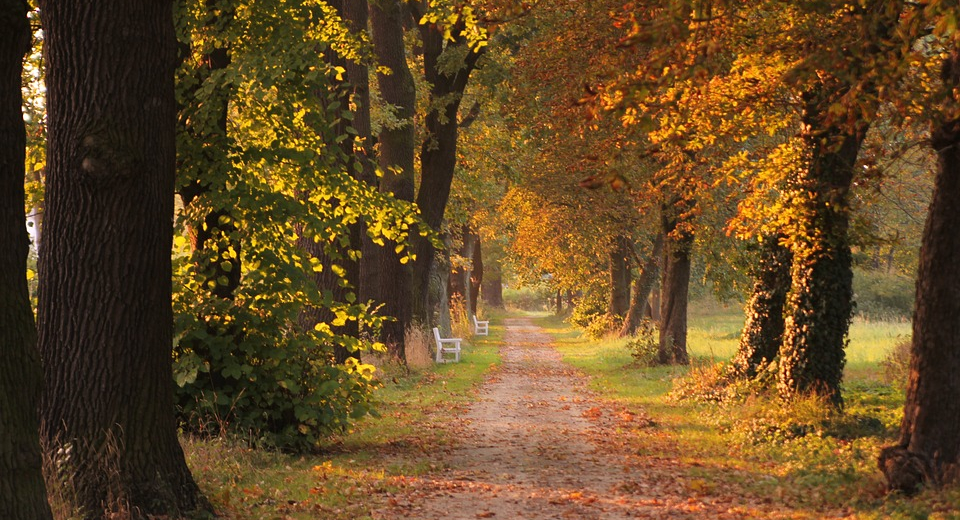 MTÜ: a vártnál is jobban alakult a szeptemberi vendégforgalom – podcast