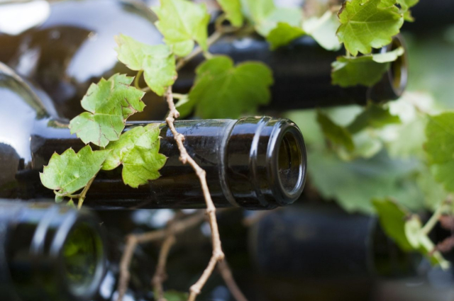 Javítja a bortermelők helyzetét az új szabályozás