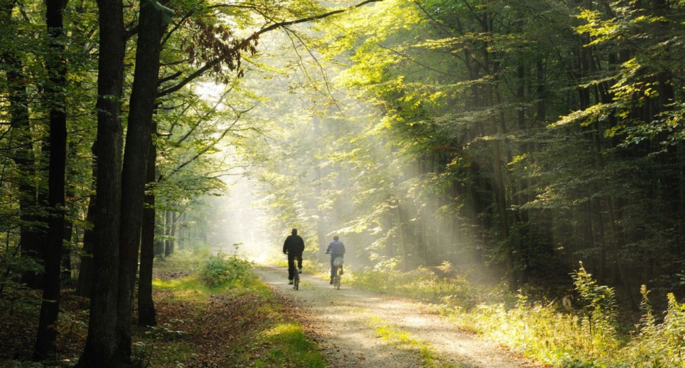 Kerékpáros paradicsomot hoznak létre a Börzsönyben