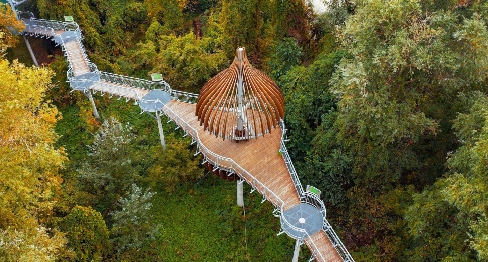 FATOSZ születésnap - Csongrád-Csanád megye