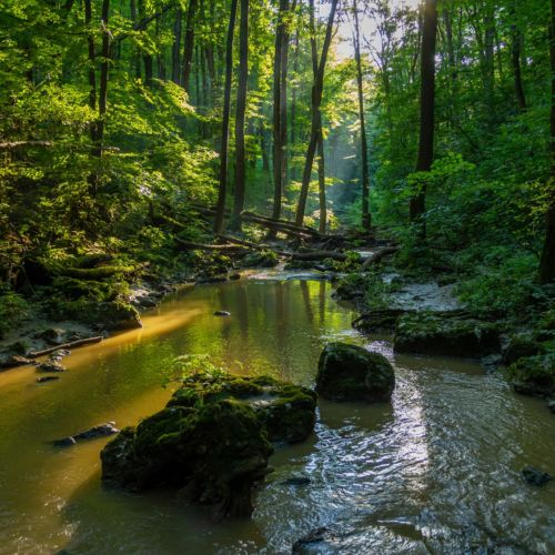 FATOSZ születésnap - Veszprém megye