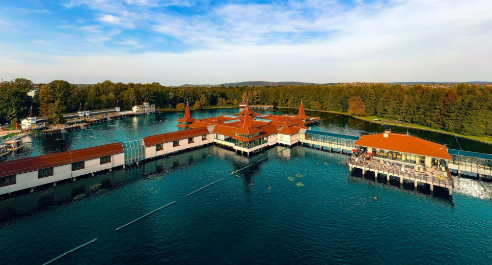 Különleges erdőtárlat nyílt a Hévízi-tó partján