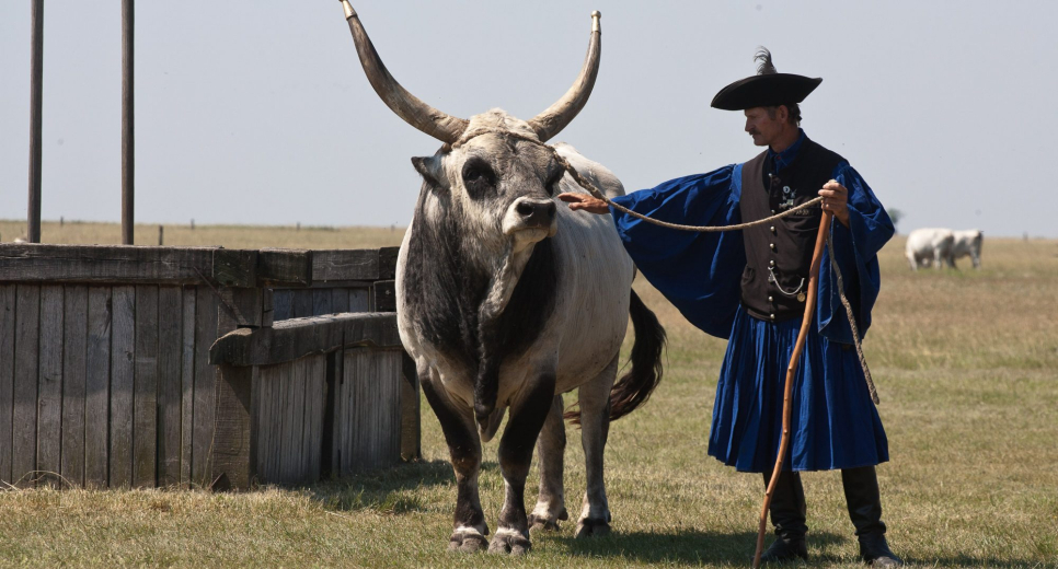Gazdag pünkösdi programkínálat a Hortobágyon