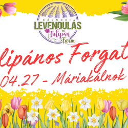 Tulipános Forgatag Máriakálnokon