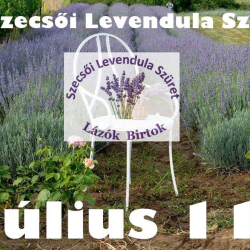 III. Szecsői Levendula Szüret