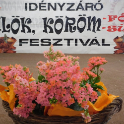 Idényzáró Csülök, Köröm Sütő-Főző Fesztivál