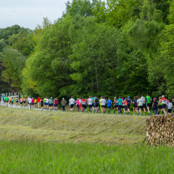 Nyárköszöntő futóverseny a Zselici Csillagparkban