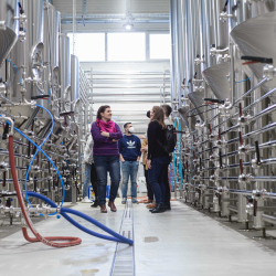 Húsz magyar kisüzemi sörfőzde mindent megmutat szombaton