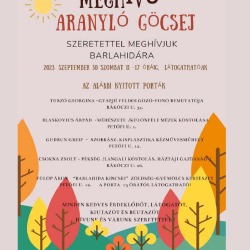 Göcsej, Barlahida, Gellénháza, Nagylengyel és Pálfiszeg  programok