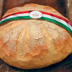 Bor és Kenyér Ünnepe 2022