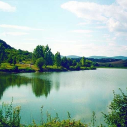 XI. "Halra fel"Bogácsi Országos Horgásztalálkozó és Verseny