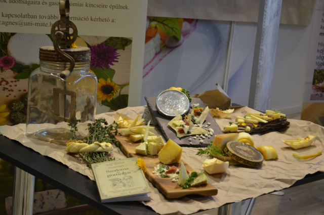 Nincs megállás - A SVÉT halad a megkezdett úton