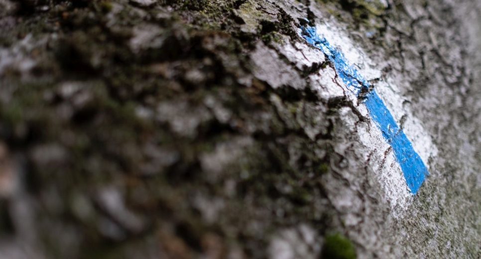 Szombaton jön a kéktúrázás napja!