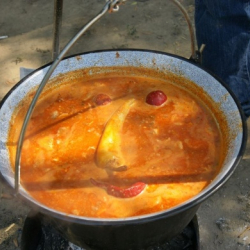 Szegedi Nemzetközi Tiszai Halfesztivál