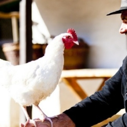 NÉPSZOKÁSOK, HAGYOMÁNYOK A SKANZENBEN, HÉTVÉGENTE ÉLŐ MÚZEUMI PROGRAMOK SZENTENDRÉN