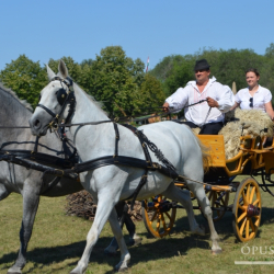Szobori búcsú Ópusztaszeren
