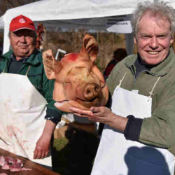 BÖLLÉR FESZTIVÁL KŐRÖSHEGY 2023