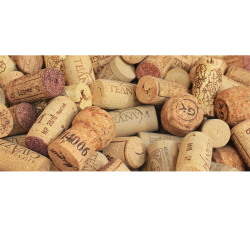 Marcali Borforraló Fesztivál