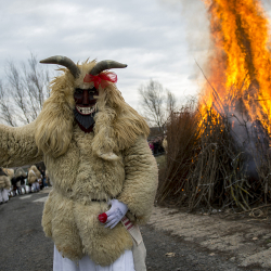 Mohácsi busójárás
