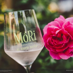 VILLÁNYI VÖRÖSBOR NAPOK 2021