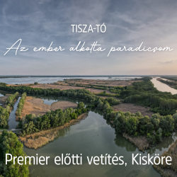 Ring-A-Tó Családi nap- Tisza-tó, Az ember alkotta paradicsom premier előtti vetítése