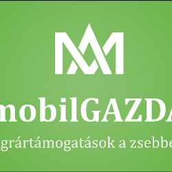 XII. Zalaegerszegi Sörfesztivál
