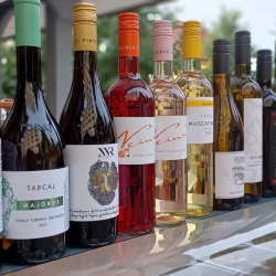 HÉVÍZI BOR- ÉS GASZTROKORZÓ 2023