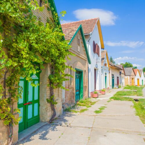 FATOSZ születésnap - Baranya megye